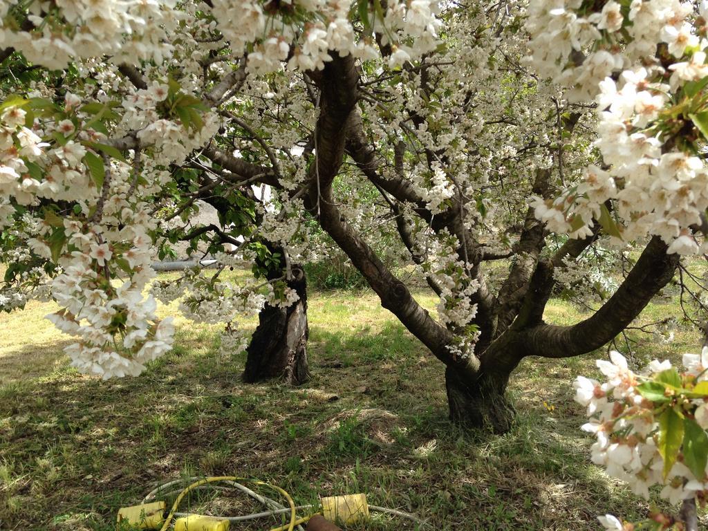 La Maison Du Peintre En Provence Mallemort Dış mekan fotoğraf