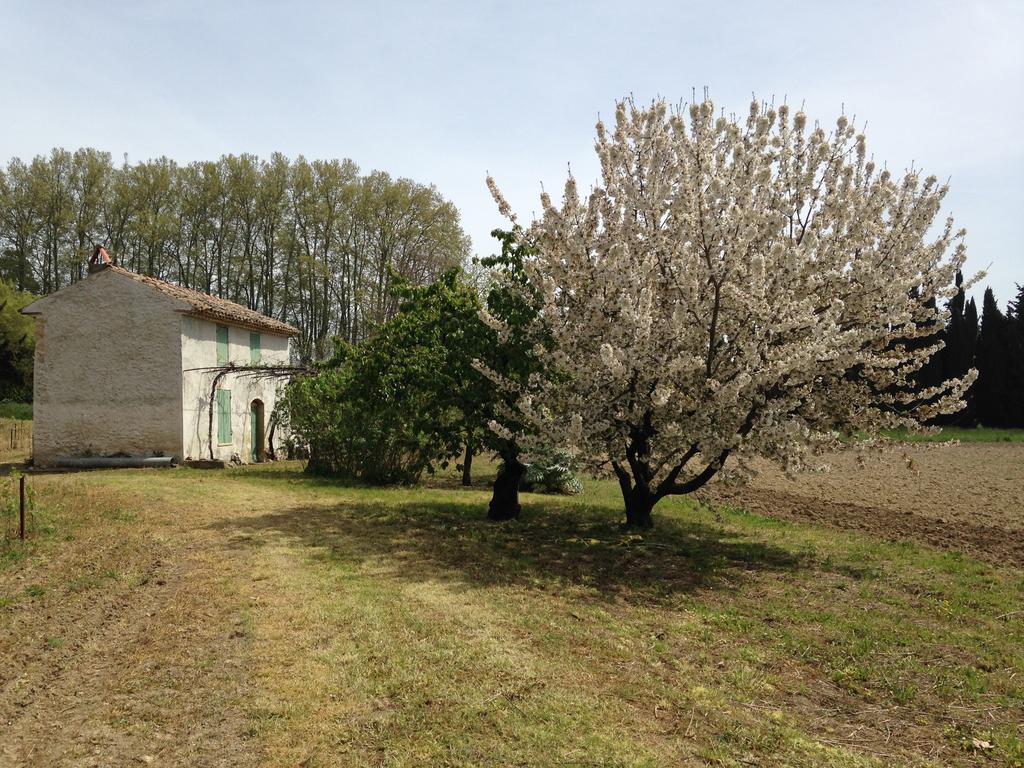 La Maison Du Peintre En Provence Mallemort Dış mekan fotoğraf